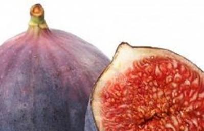 The magic of numbers Why do you dream about figs in a dream?