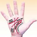 What does the science of palmistry say about the lines on the hand: what is their meaning, how to “read” them?
